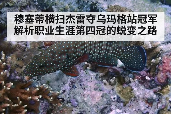 穆塞蒂横扫杰雷夺乌玛格站冠军解析职业生涯第四冠的蜕变之路